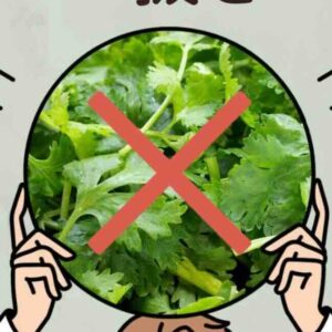 「不要」の使い方｜上海のレストランで一番使う中国語