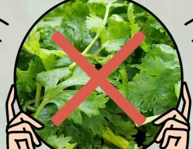 「不要」の使い方|上海のレストランで一番使う中国語 「不要」の使い方|上海のレストランで一番使う中国語